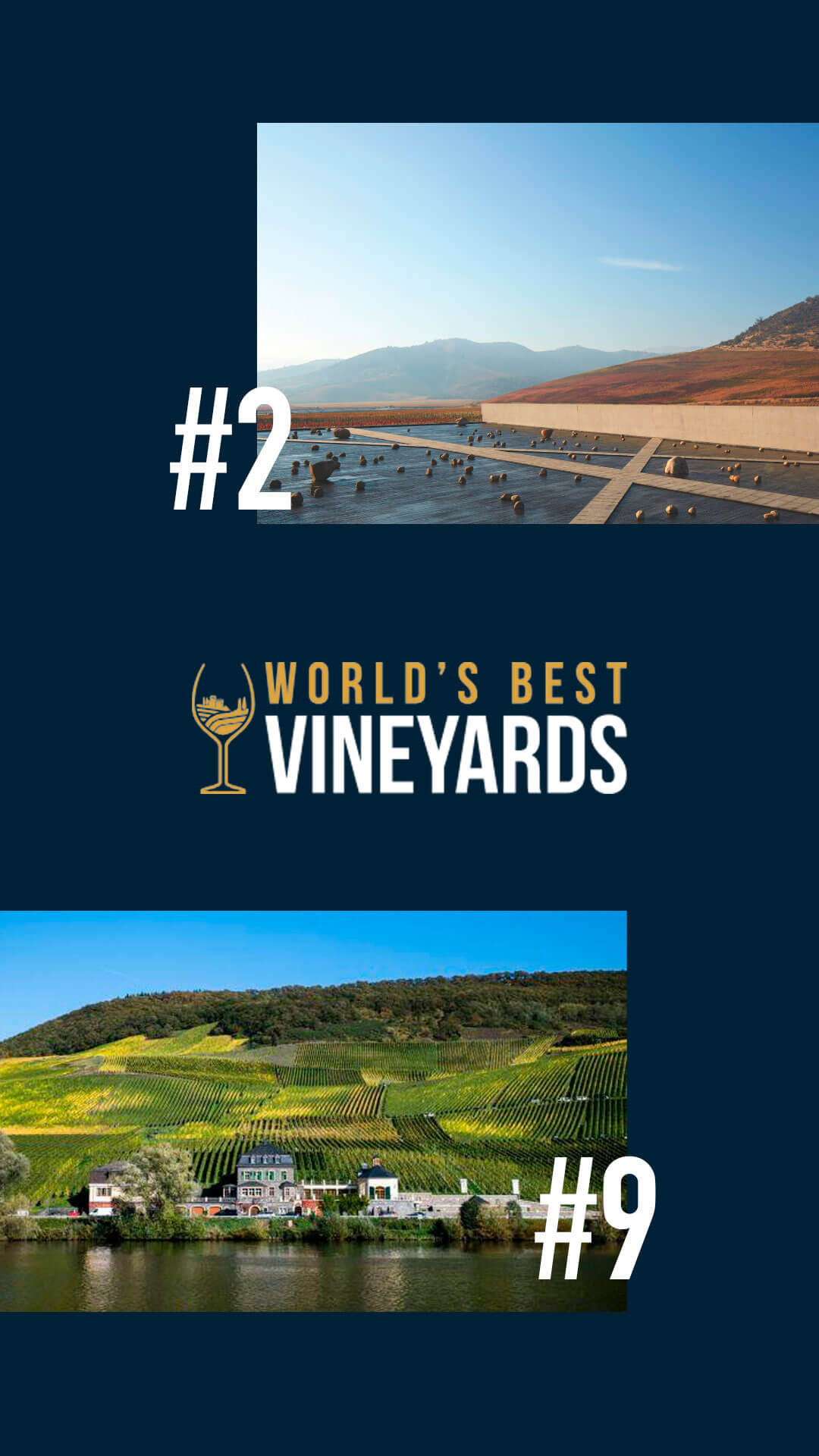 World’s Best Vineyards 2024 : Les 50 Meilleures Vignes du Monde