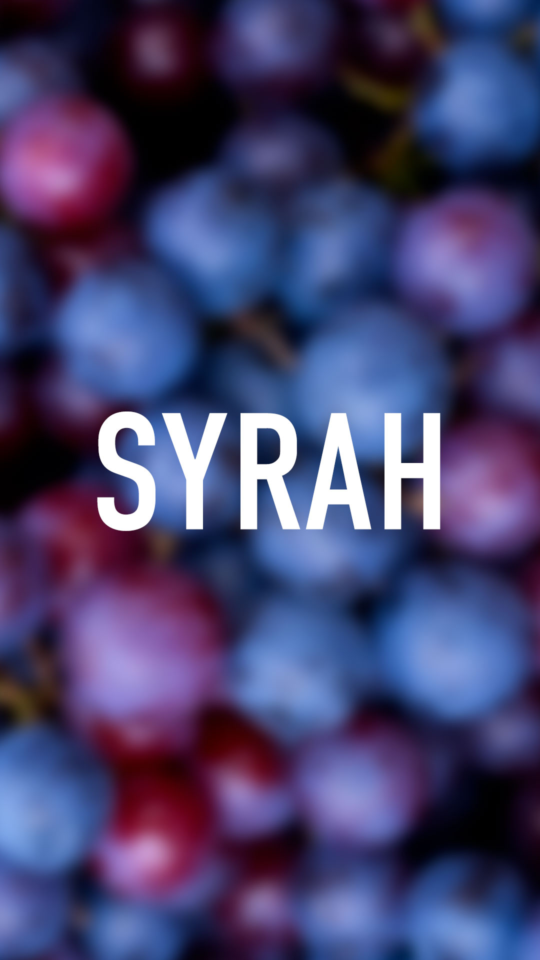 Jour International de la Syrah : Le Cépage de l’Intensité et de l’Élégance