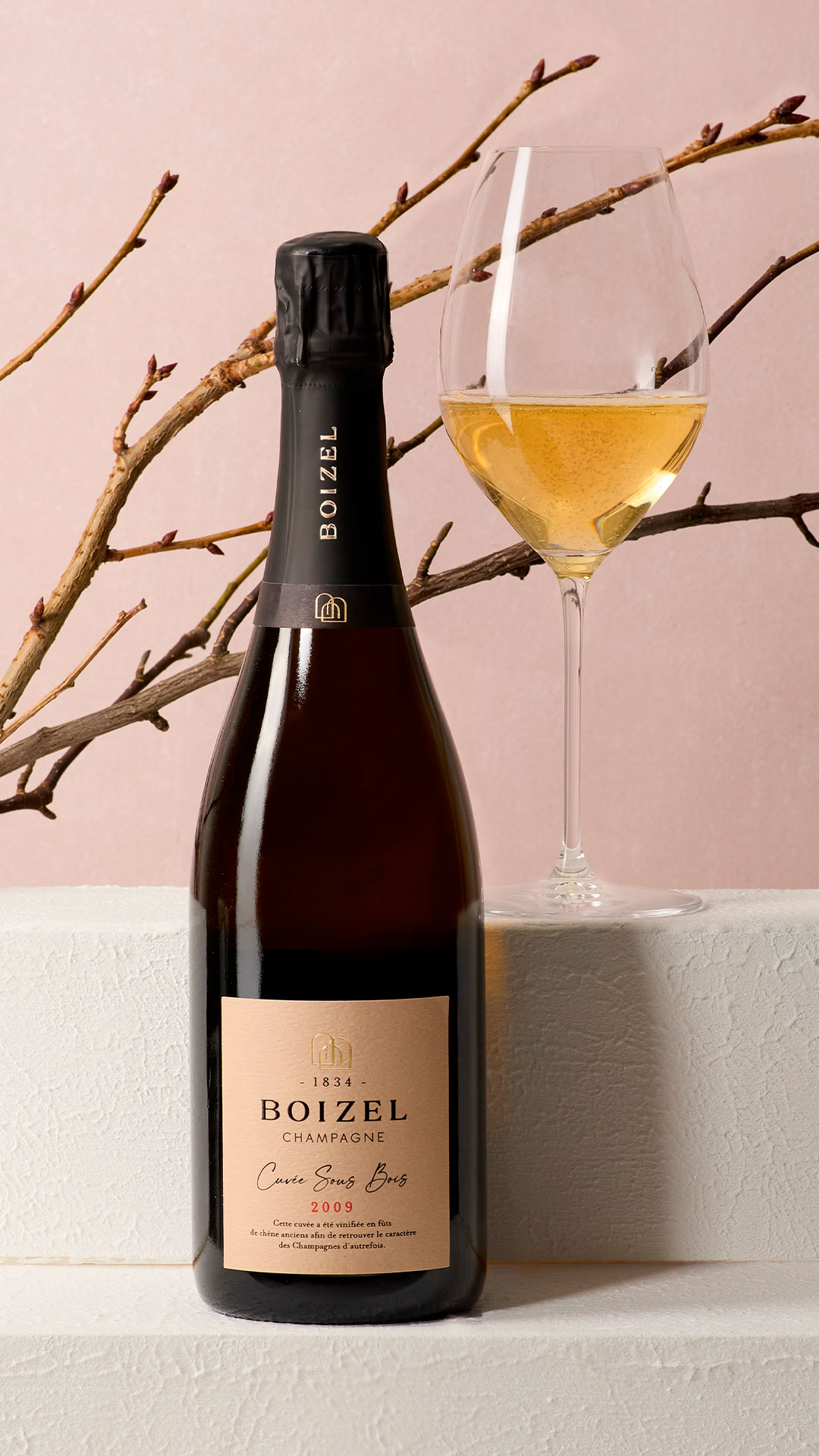 Maison Boizel : Champagnes Artisanaux aux Notes d’Excellence