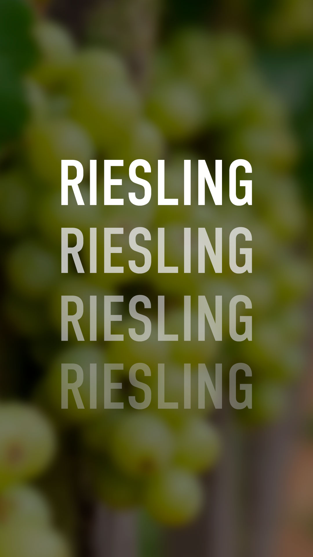 Jour International du Riesling : Célébrez l’Élégance d’un Classique